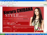 Webシステム開発実績（SNS）