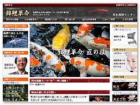 錦鯉革命